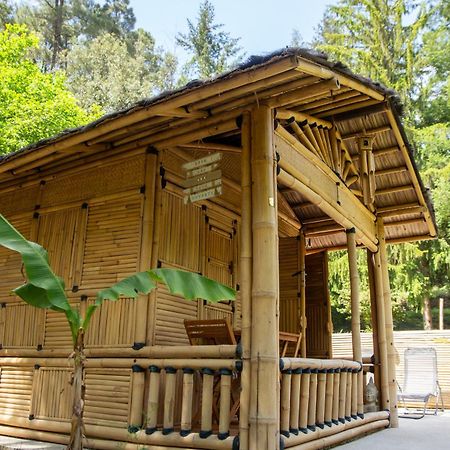 سان جان دو جارد Suite Bambou Bien-Etre A Bali - Le Soleil Des Cevennes المظهر الخارجي الصورة