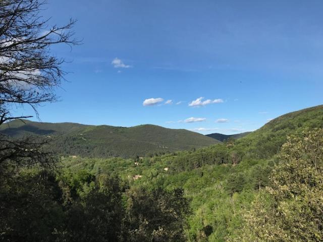 سان جان دو جارد Suite Bambou Bien-Etre A Bali - Le Soleil Des Cevennes المظهر الخارجي الصورة