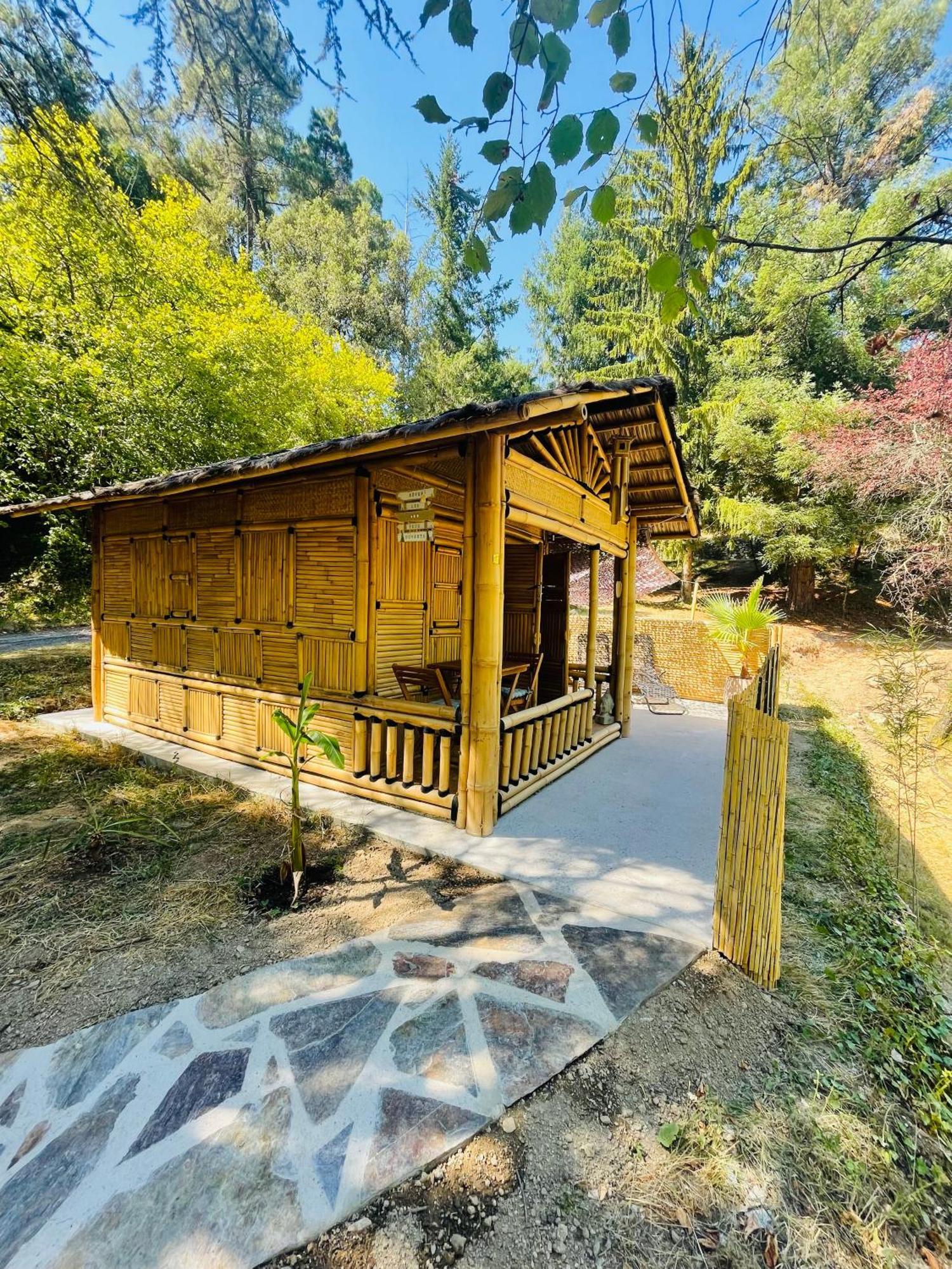 سان جان دو جارد Suite Bambou Bien-Etre A Bali - Le Soleil Des Cevennes المظهر الخارجي الصورة