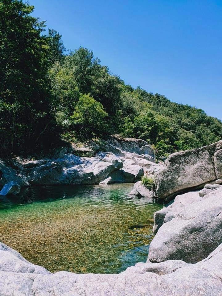 سان جان دو جارد Suite Bambou Bien-Etre A Bali - Le Soleil Des Cevennes المظهر الخارجي الصورة