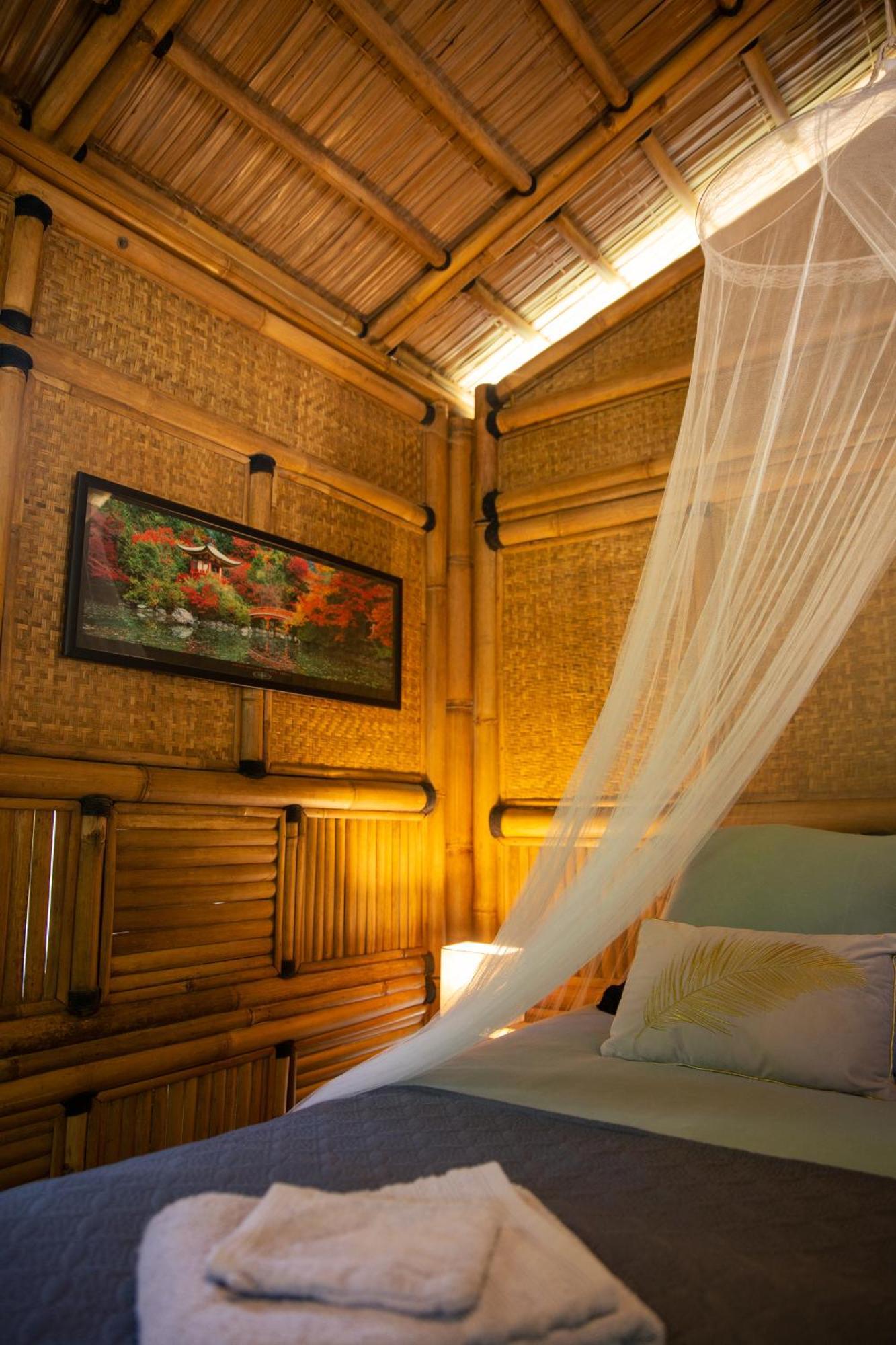 سان جان دو جارد Suite Bambou Bien-Etre A Bali - Le Soleil Des Cevennes المظهر الخارجي الصورة