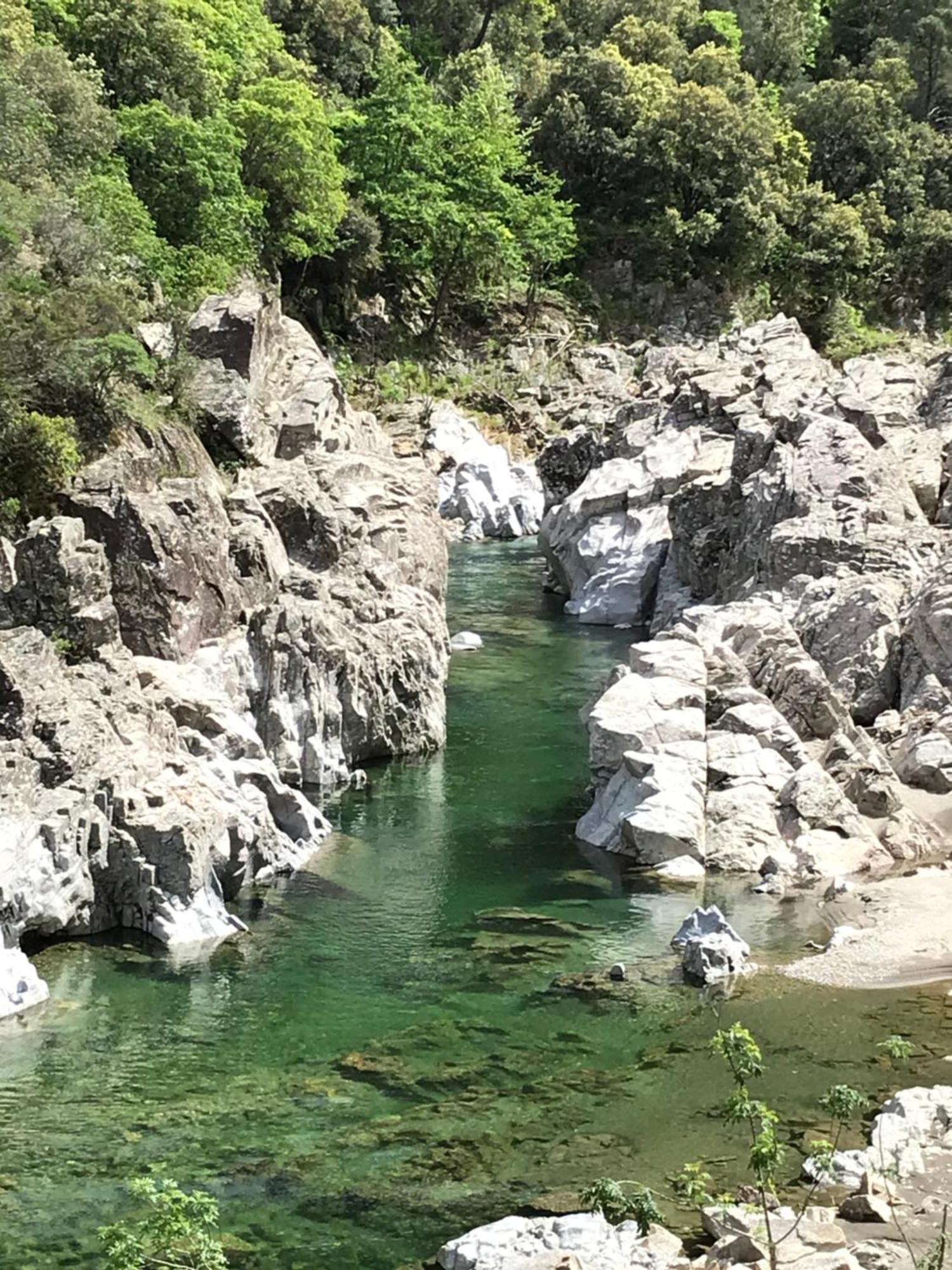 سان جان دو جارد Suite Bambou Bien-Etre A Bali - Le Soleil Des Cevennes المظهر الخارجي الصورة
